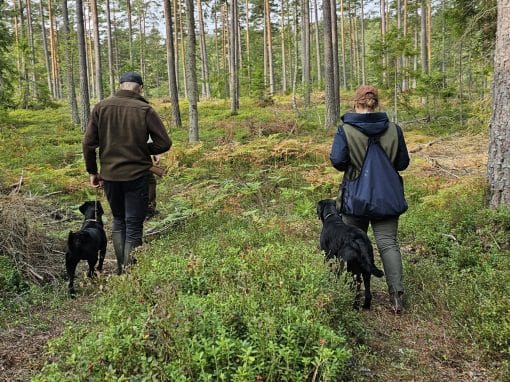 Fortsättningsgrupp mot elitklass(torsdag)